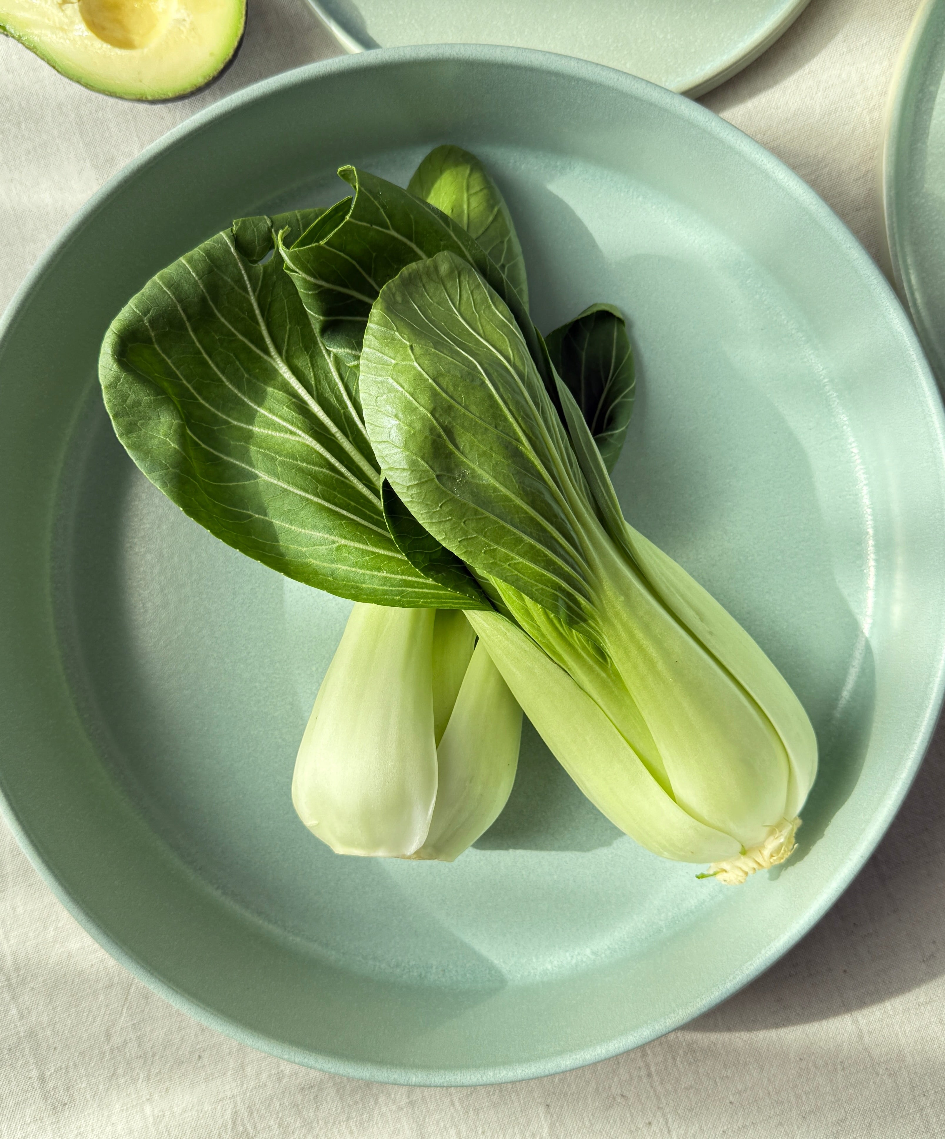 salad Schüssel grün